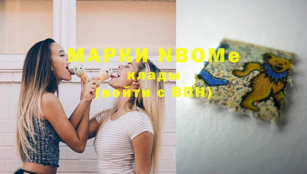 стафф Осташков