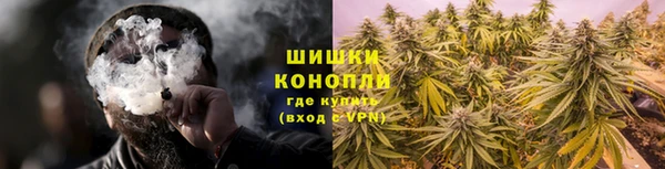 ALPHA PVP Остров