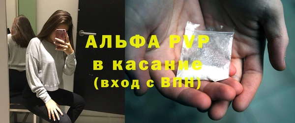 стафф Осташков