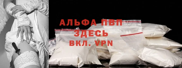 стафф Осташков