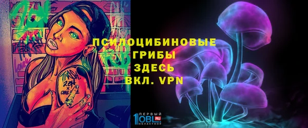 ALPHA PVP Остров