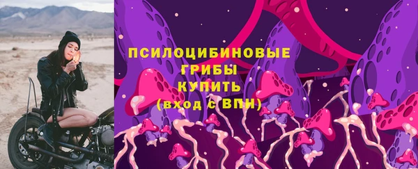 ALPHA PVP Остров