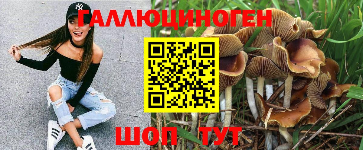 Богданович  Псилоцибиновые грибы прущие грибы  Псилоцибиновые грибы GOLDEN TEACHER  Вход с VPN 