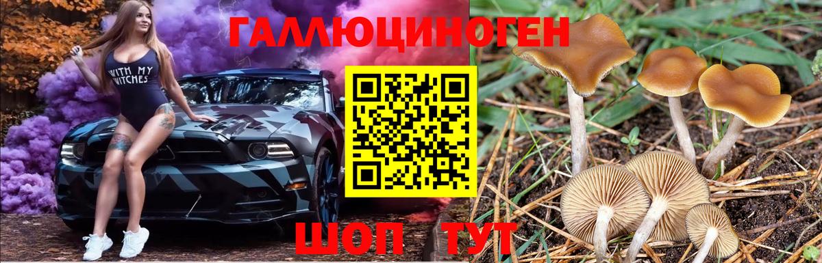 Амфетамин Богданович