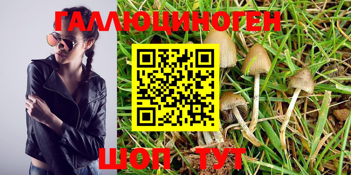 Галлюциногенные грибы ЛСД Богданович